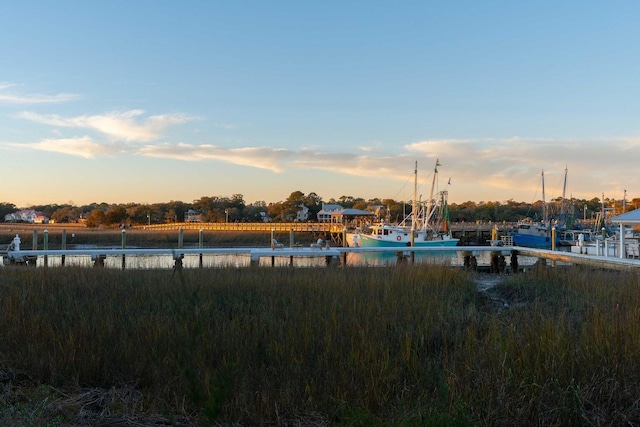 222 Haddrell St, Mount Pleasant, SC 29464 - water view featuring a boat dock