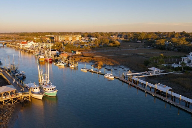 222 Haddrell St, Mount Pleasant, SC 29464 - dock with a water view