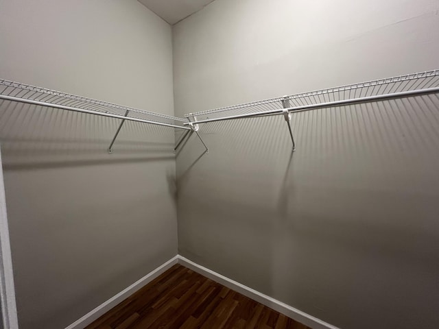 spacious closet featuring dark hardwood / wood-style flooring