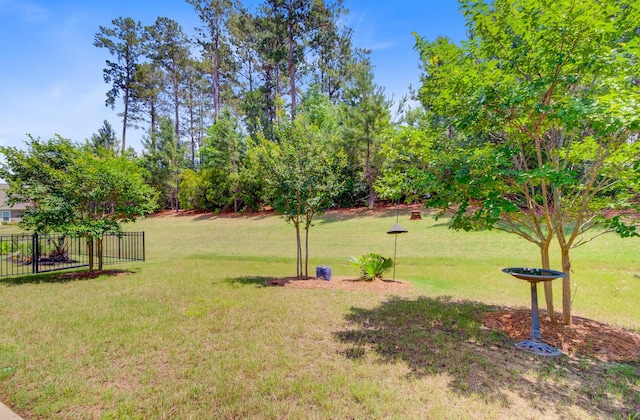 5078 Song Sparrow Way, Summerville, SC 29483 - view of yard