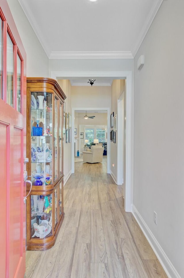 5078 Song Sparrow Way, Summerville, SC 29483 - hallway featuring ornamental molding, light wood-style floors, and baseboards