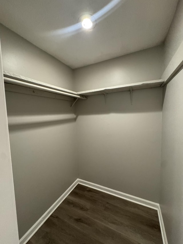 106 Pelican St, Ladson, SC 29456 - spacious closet featuring dark wood-type flooring