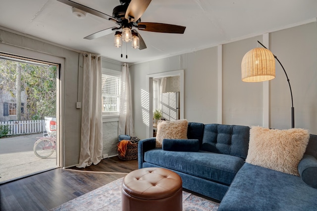 living room featuring ornamental molding, dark wood-type flooring, and ceiling fan