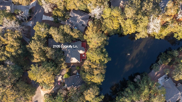 2105 Loblolly Ln, Seabrook Island, SC 29455 - aerial view of property and surrounding area with a nearby body of water