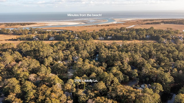 2105 Loblolly Ln, Seabrook Island, SC 29455 - aerial view of property's location with a large body of water and a forest