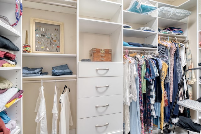 view of spacious closet