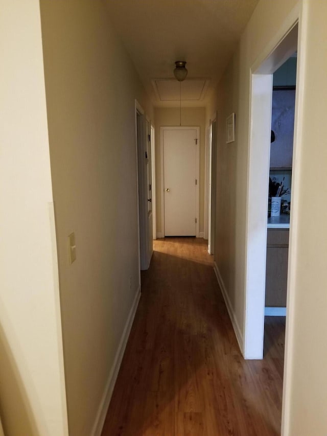 hall featuring dark wood-type flooring