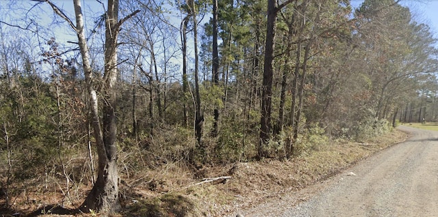 0 Dike Rd, Bonneau, SC 29431