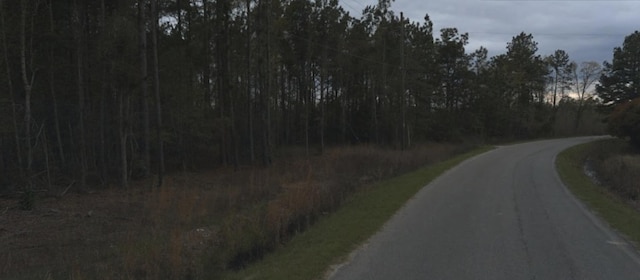 0 Dike Rd, Bonneau, SC 29431