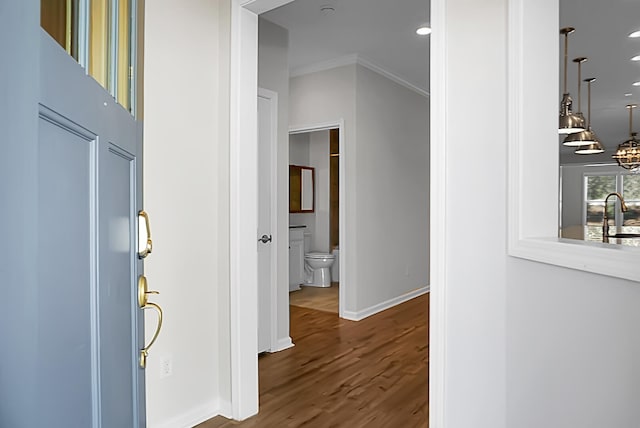 hall featuring hardwood / wood-style floors, ornamental molding, and sink