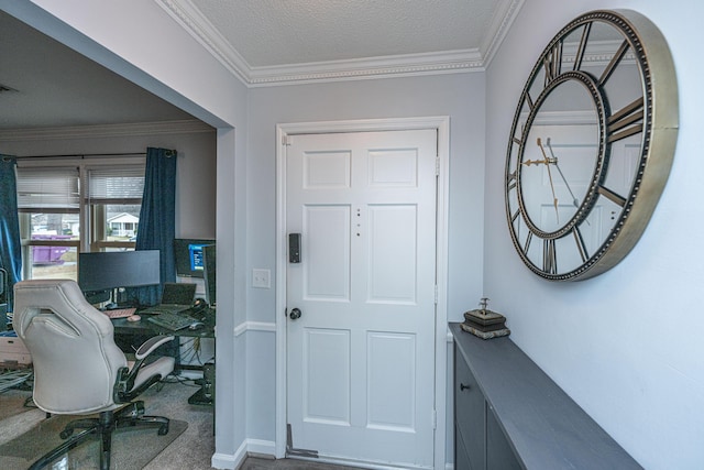 carpeted office space with crown molding and a textured ceiling