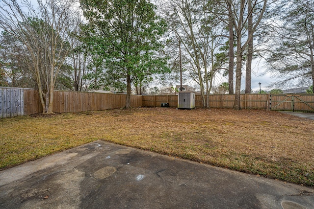 view of yard with a patio and a storage shed