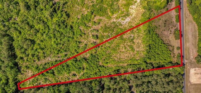 2522 Shaw Rd, Manning, SC 29102