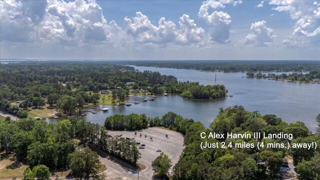 2522 Shaw Rd, Manning, SC 29102
