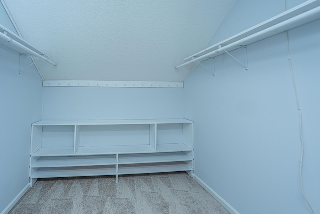 walk in closet with light carpet