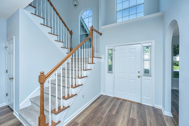 foyer featuring dark wood-type flooring and a high ceiling