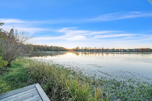 property view of water