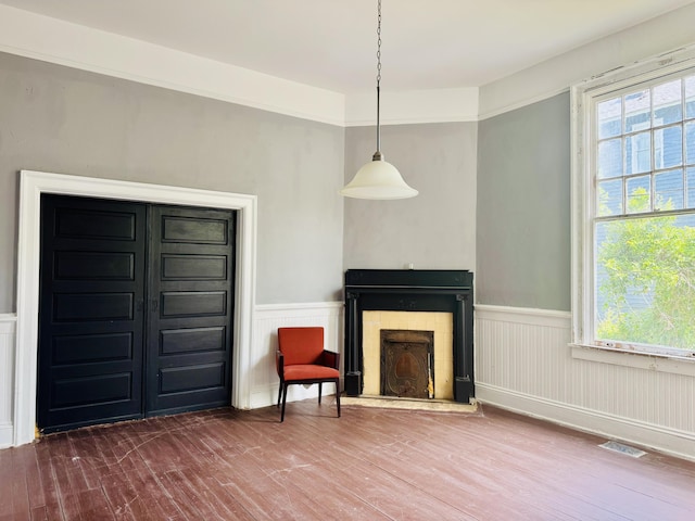 unfurnished room featuring a wealth of natural light, a wainscoted wall, wood finished floors, and a fireplace