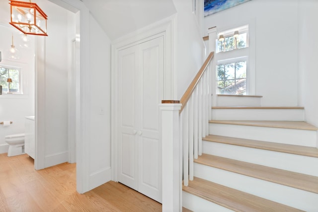 stairway featuring hardwood / wood-style flooring