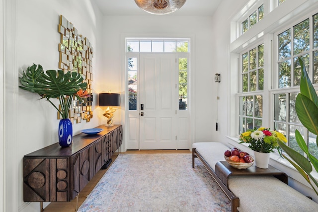 foyer featuring a wealth of natural light and light hardwood / wood-style flooring