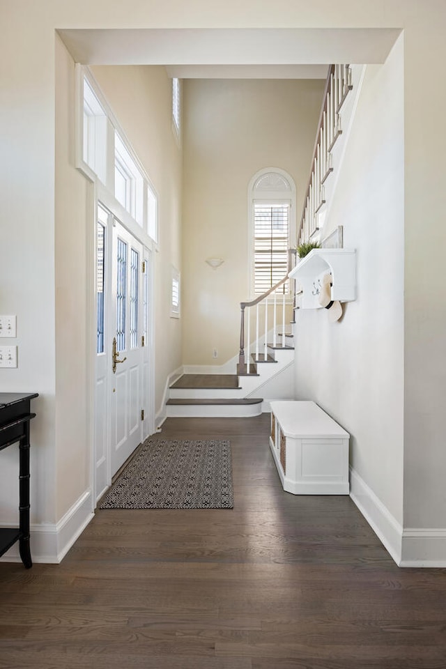 entryway featuring a towering ceiling and dark hardwood / wood-style floors