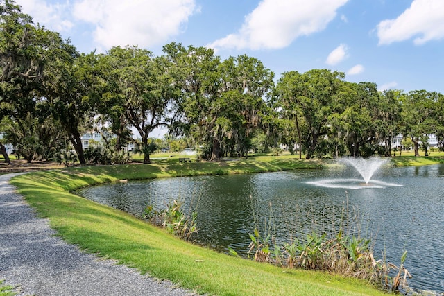 view of water feature