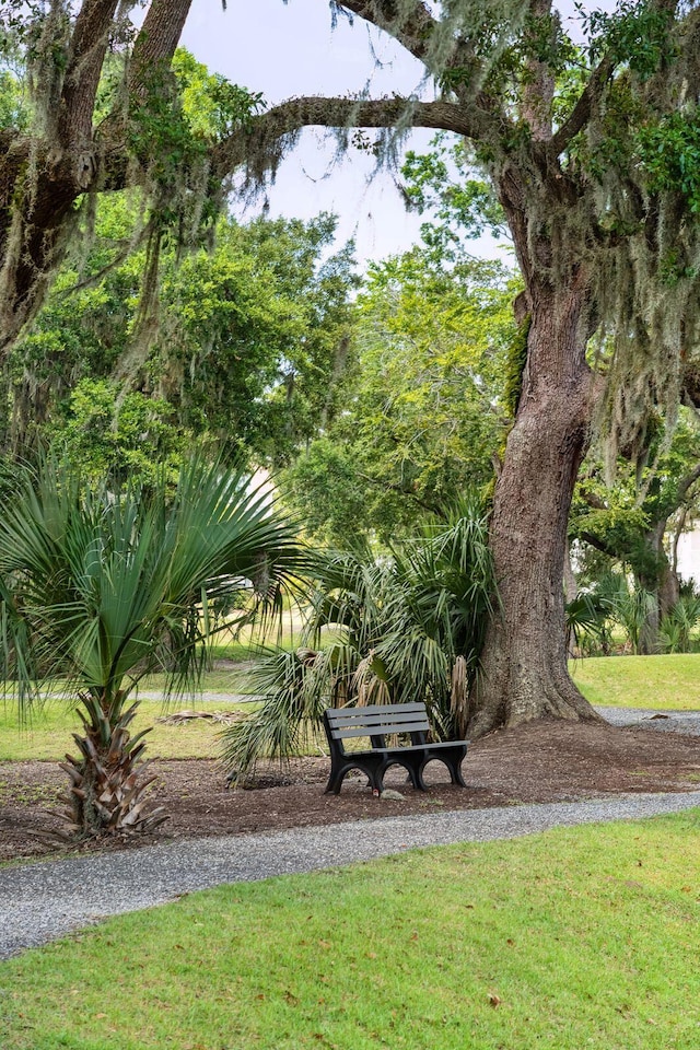 surrounding community featuring a yard