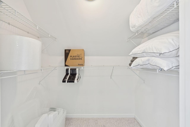 spacious closet featuring carpet flooring
