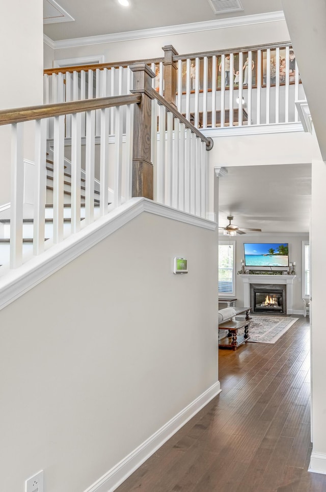 stairway with hardwood / wood-style floors, ceiling fan, and crown molding