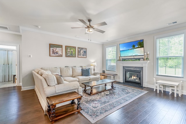 living room with ceiling fan, a healthy amount of sunlight, and ornamental molding