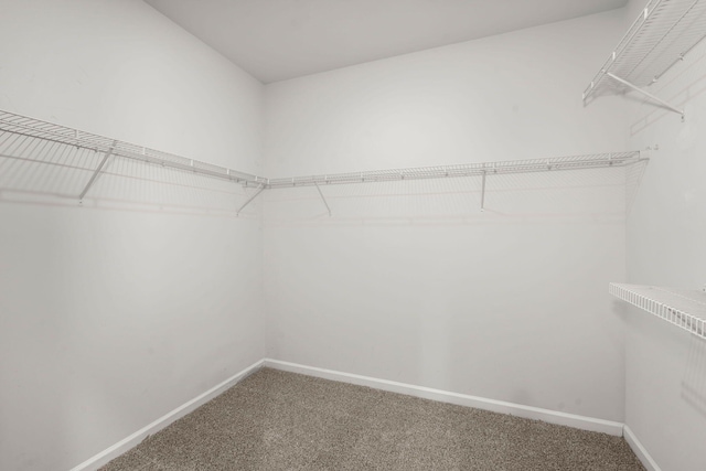 3438 Great Egret Dr, Johns Island, SC 29455 - walk in closet with carpet