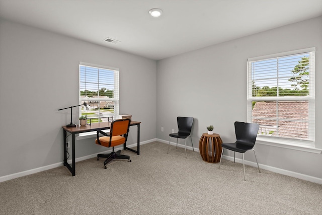 3438 Great Egret Dr, Johns Island, SC 29455 - home office with visible vents, light colored carpet, and a healthy amount of sunlight