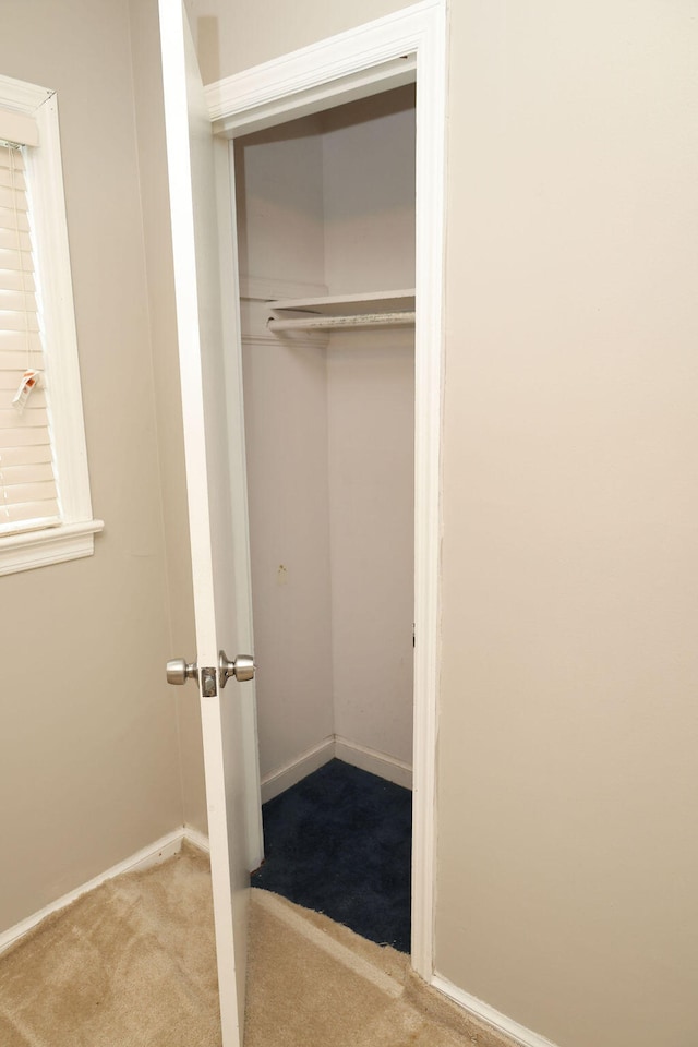 view of closet