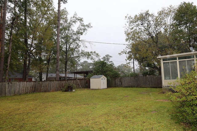 view of yard featuring a storage unit