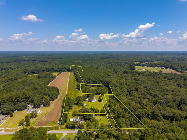 1388 Lebanon Rd, Ridgeville, SC 29472