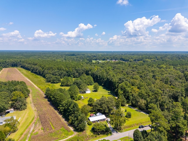 1388 Lebanon Rd, Ridgeville, SC 29472