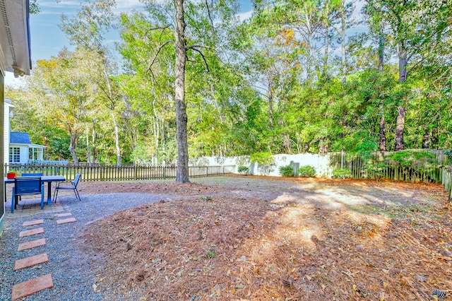 view of yard with a patio