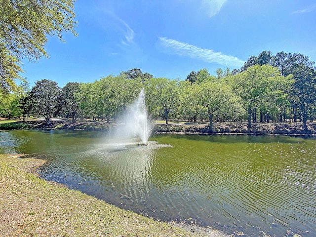 view of water feature