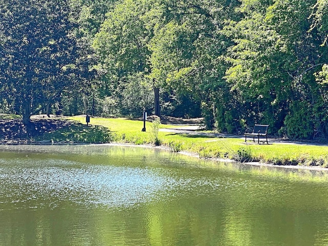 view of water feature