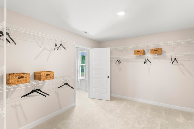 spacious closet featuring carpet floors