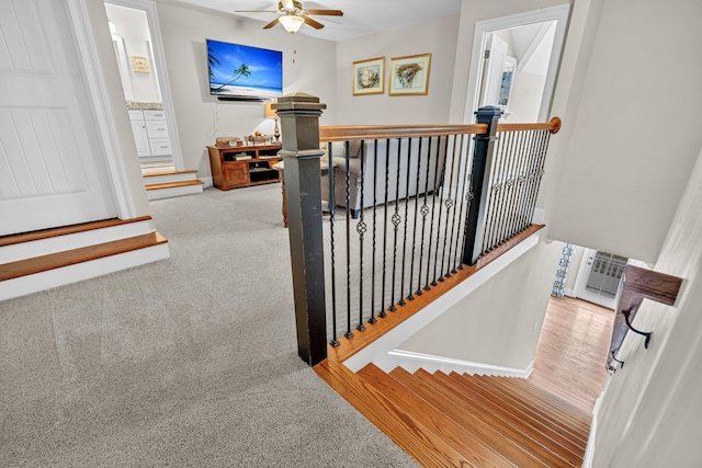 stairs featuring ceiling fan and carpet flooring