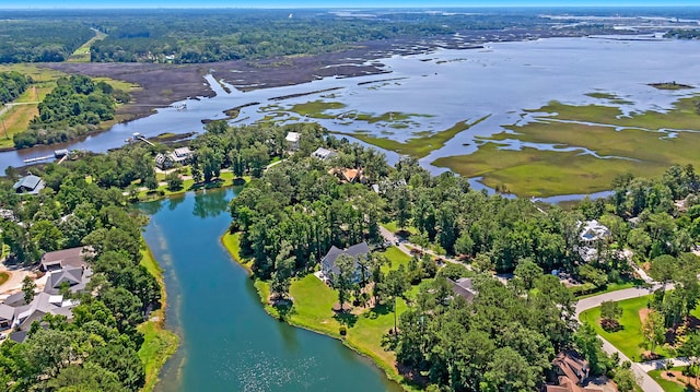 birds eye view of property with a water view and a view of trees