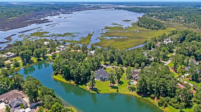 bird's eye view featuring a water view and a view of trees