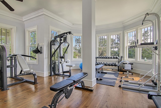 interior space featuring a wealth of natural light, wood-type flooring, baseboards, and crown molding