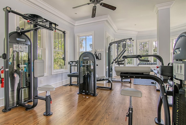 exercise room with ornamental molding, a ceiling fan, baseboards, and wood finished floors