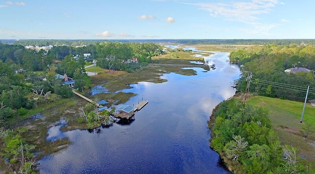 bird's eye view featuring a water view and a view of trees