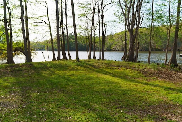 water view with a wooded view