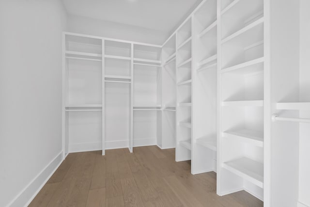 walk in closet featuring hardwood / wood-style flooring