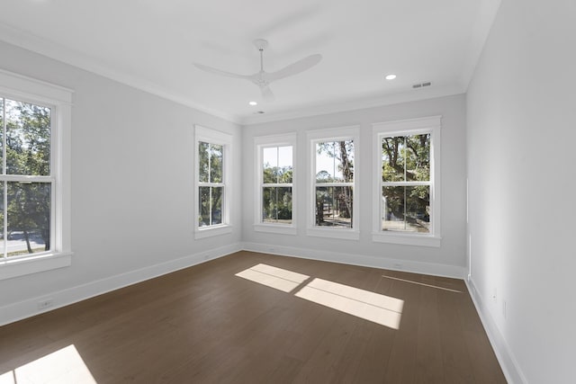 spare room featuring ornamental molding, dark wood-type flooring, and a wealth of natural light