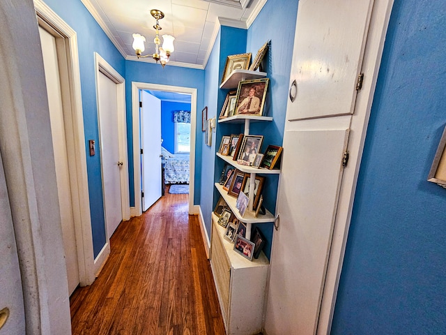 hallway with an inviting chandelier, crown molding, and dark hardwood / wood-style floors